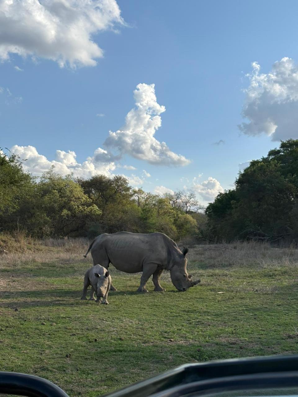 Am Lodge - Hoedspruit Zewnętrze zdjęcie